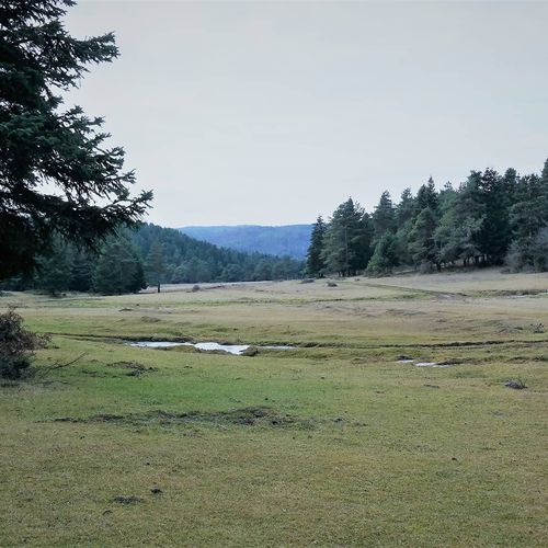 At Plateau