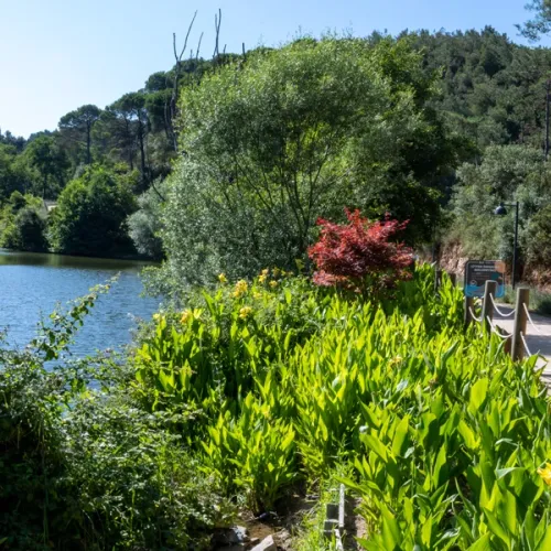 Atatürk Forest Farm and Zoo