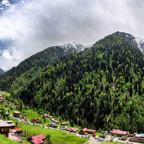 Ayder
