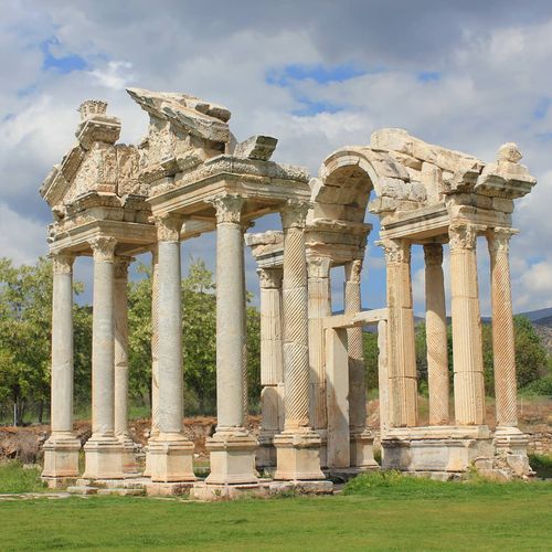 آفرودیزیا