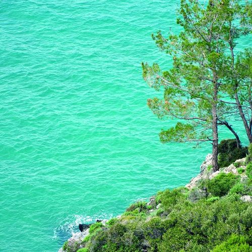 Parque Nacional de la Península Dilek