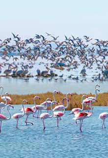 National Park of Kuşcenneti Bird Paradise