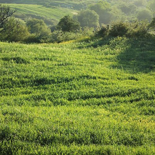 Spring in Demirkapı