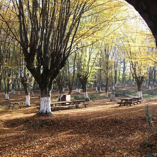 Balamba Nature Park