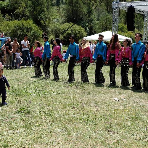 مهرجان الحصاد في بايبورت