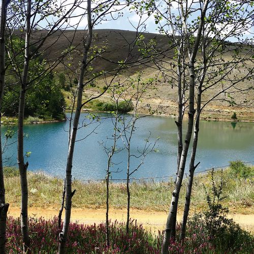 El Río Çoruh