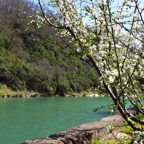 Ağva Şile