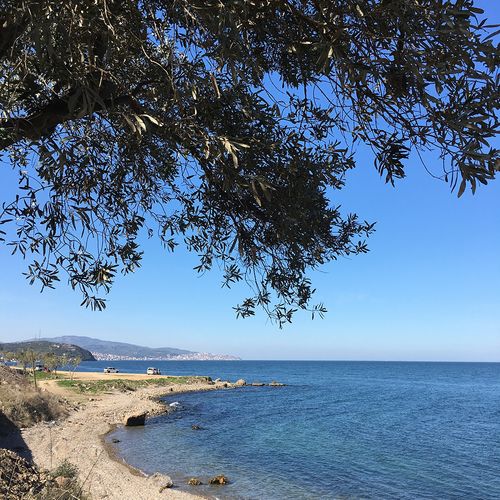 Mudanya Bursa