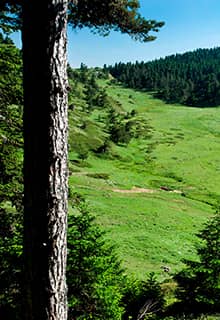 Plateau de Kömürsu