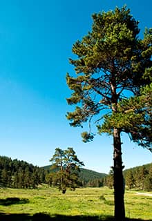 Sofular Plateau