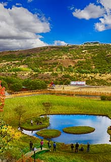 Плавучі острови