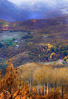 Dallıtepe Village