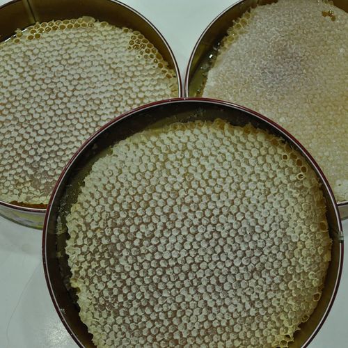 Bitlis Honey