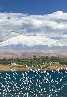El Paraíso de las aves