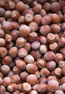 Hizan Hazelnut