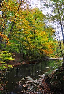 Національний парк Йєдігьоллер (Yedigöller Milli Parkı) в Болу (Bolu)