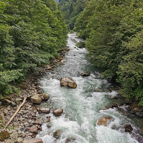Río Fırtına Rize