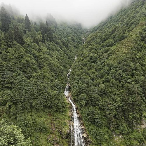 Meseta Ayder Rize
