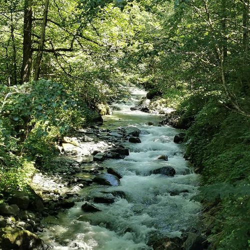 Río Fırtına Rize