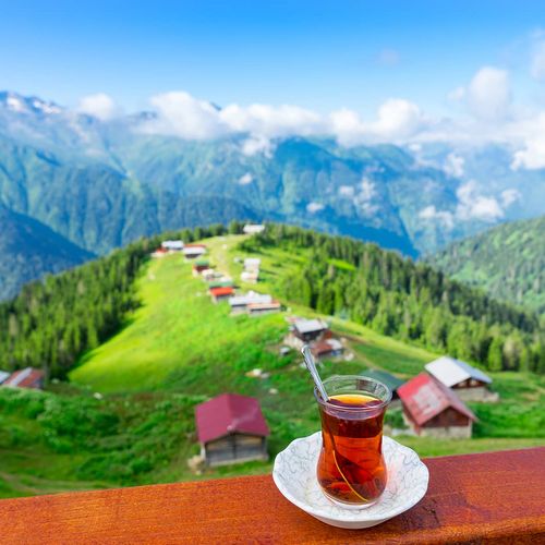 Rize Schwarztee