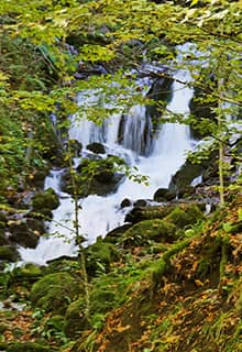 Parc national de Yedigöller Bolu