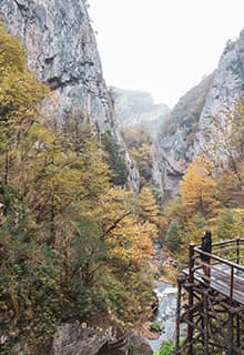 Forêt de Yenice Karabük