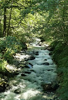 Fırtına Fluss Rize