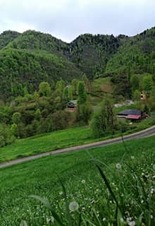 Hıdırnebi Plateau Trabzon