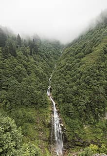 Meseta Ayder Rize