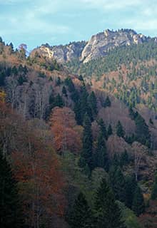 Highland