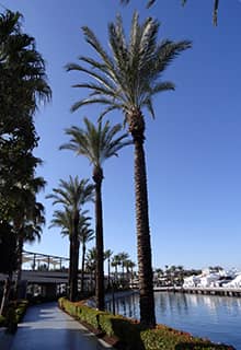 Marina de Bodrum