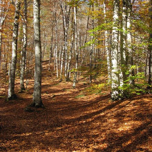 Seven Lakes National Park