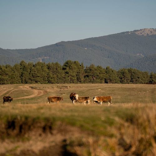 Kızık Plateau