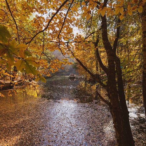 Seven Lakes National Park