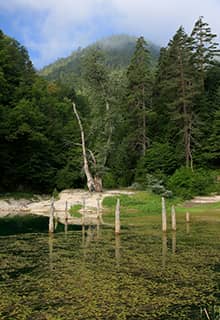 Parc naturel du lac Sülüklü