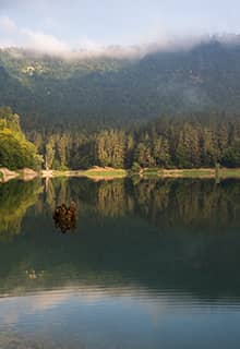 Parc naturel du lac Sülüklü