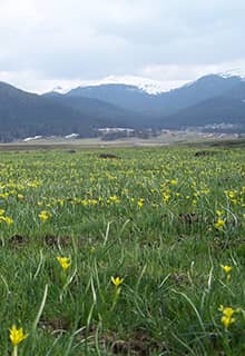 Sarıalan Plateau