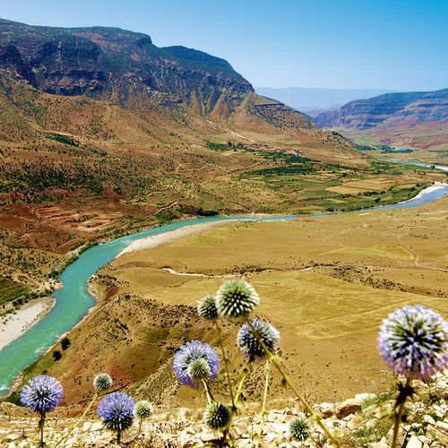 Botan Valley
