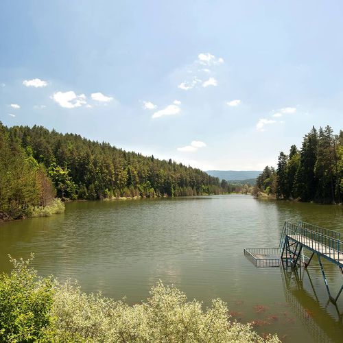 Bozcaarmut Pond