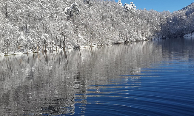{"external":false,"href":"discover-the-winter-magic-of-turkiyes-picturesque-black-sea","target":""}