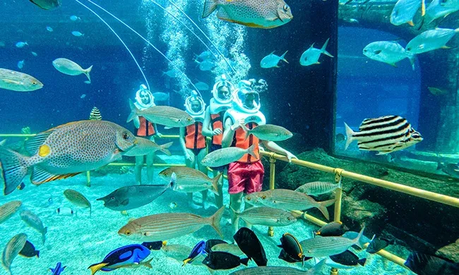 {"external":false,"href":"every-season-is-fun-antalya-theme-parks-this-winter-and-spring","target":""}