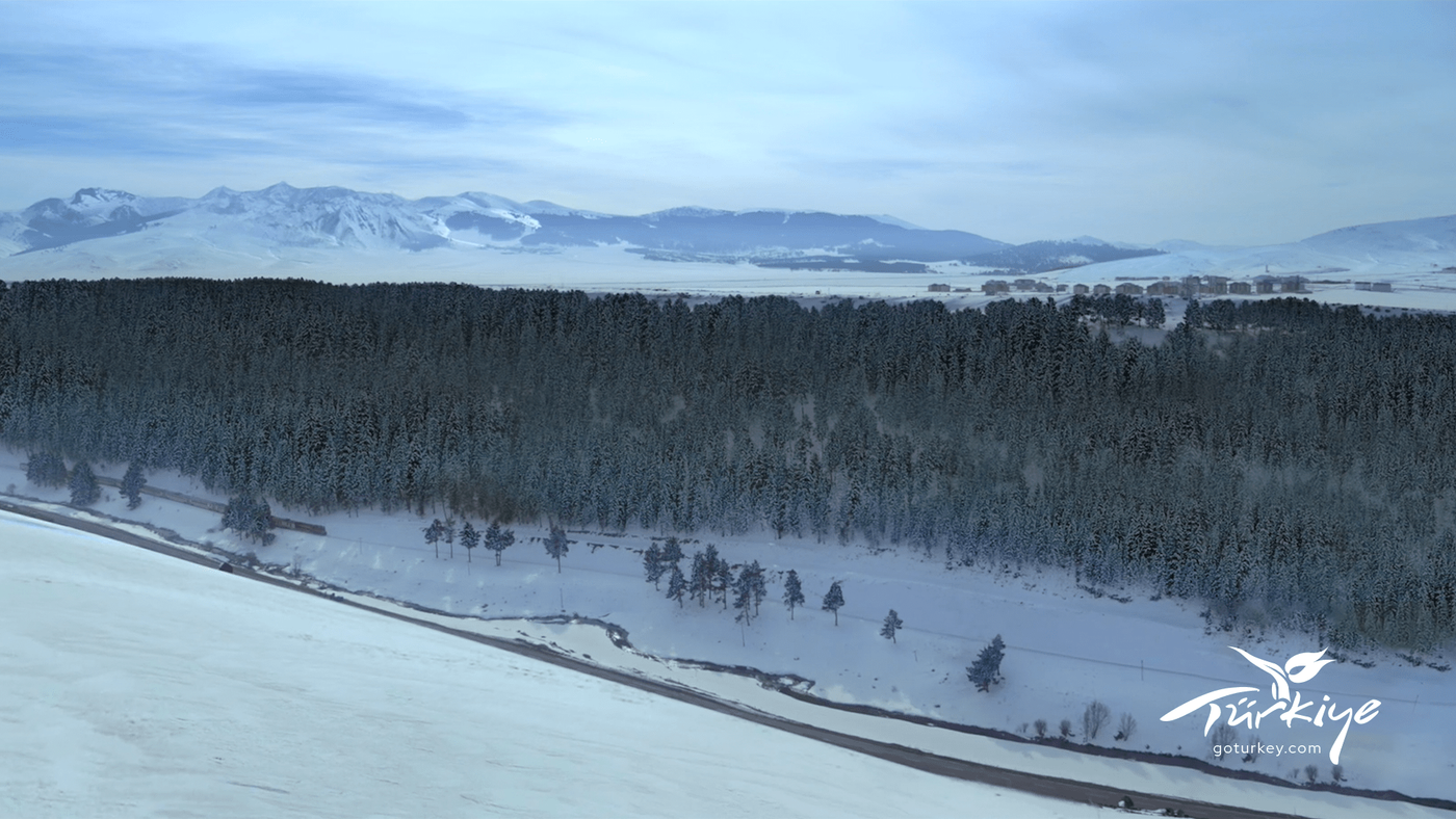 {"external":false,"href":"turkiye-offers-unique-options-for-winter-vacations","target":""}