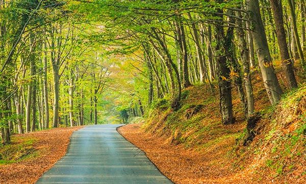 {"external":false,"href":"discover-the-best-trekking-routes-in-and-around-istanbul","target":""}