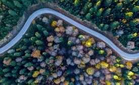 {"external":false,"href":"5-best-road-trip-routes-of-turkiye","target":""}
