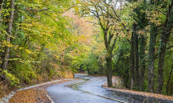 {"external":false,"href":"autumn-provides-options-for-nature-lovers-in-and-around-istanbul","target":""}