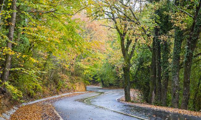 {"external":false,"href":"autumn-provides-options-for-nature-lovers-in-and-around-istanbul","target":""}