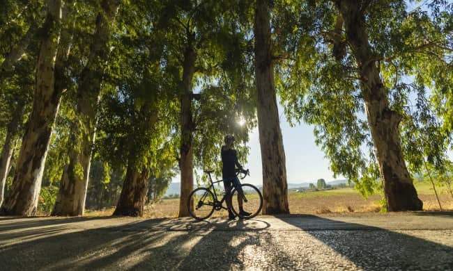 {"external":false,"href":"turkiyes-most-beautiful-bike-packing-routes","target":""}