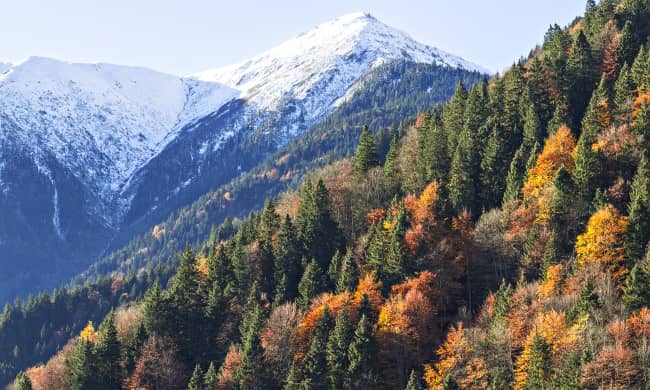 {"external":false,"href":"the-black-sea-highlands-of-turkiye-offer-an-unforgettable-experience-amid-the-nature","target":""}