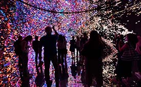 {"external":false,"href":"refik-anadol-creates-multisensory-data-sculpture-out-of-rumi-archives","target":""}