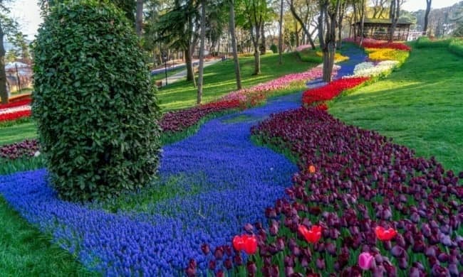 {"external":false,"href":"istanbul-is-ready-for-the-famous-tulip-season","target":""}